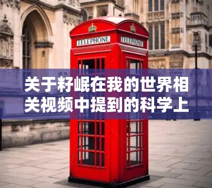 关于籽岷在我的世界相关视频中提到的科学上网话题，需要明确以下几点