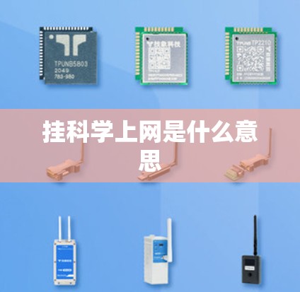 挂科学上网是什么意思